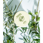 Olivolio body butter - Omonwell